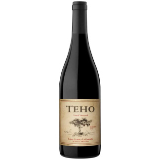 Teho Malbec 2021