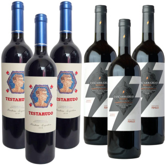 Selección Pumalek Lambrusco