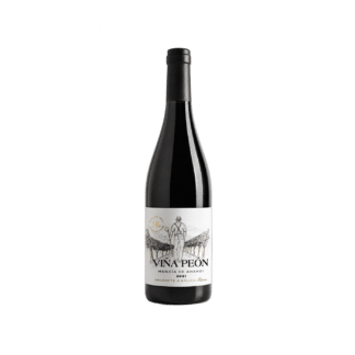 Viña Peón Mencía de Amandi 2022, Ribeira Sacra Galicia - España