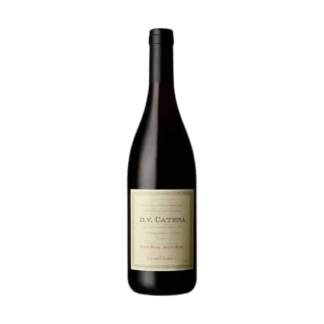 DV Catena Pinot Noir - Pinot Noir