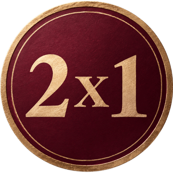 2 x 1